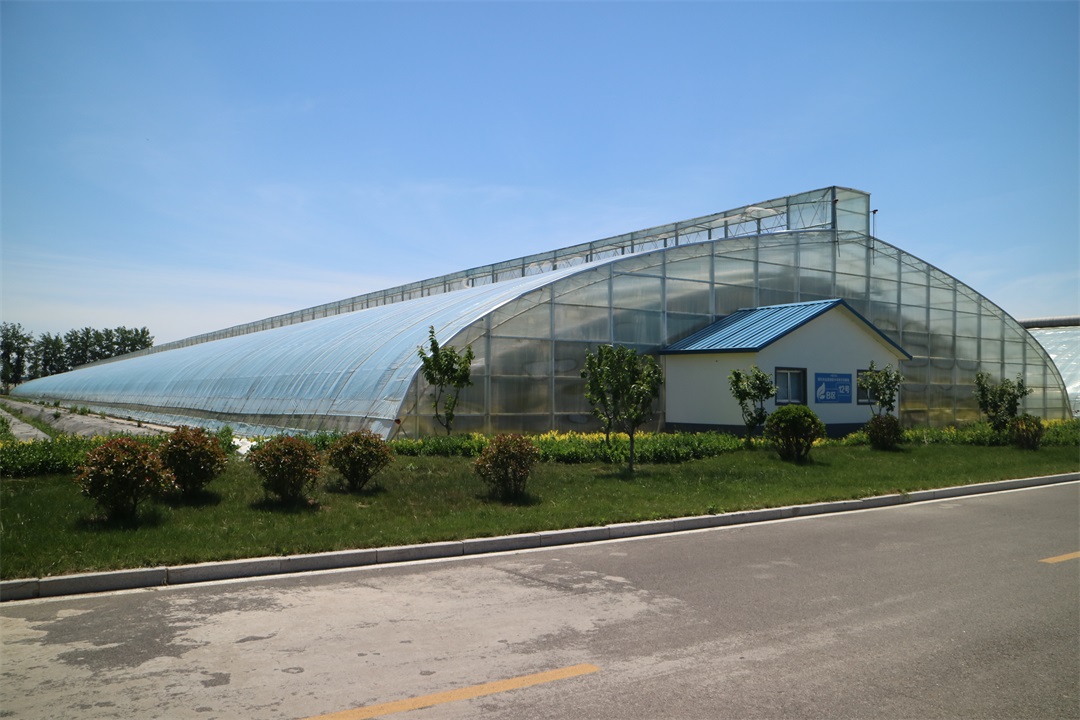 1627814674238260.jpg 1627814674238260.jpg