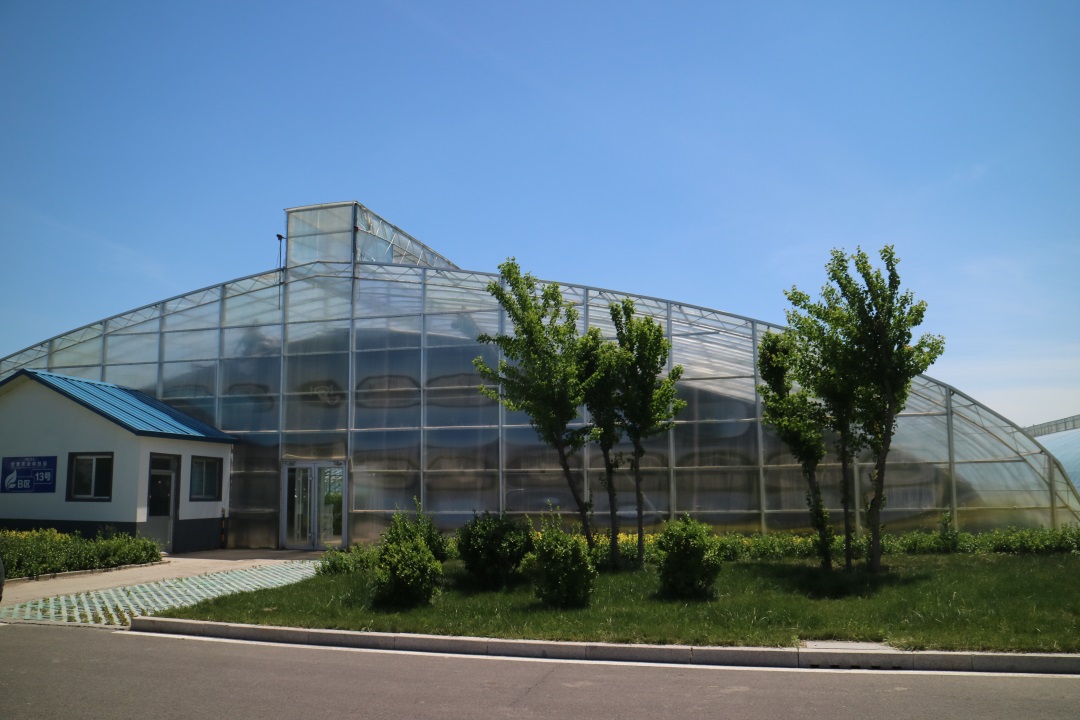 1627814674306175.jpg 1627814674306175.jpg