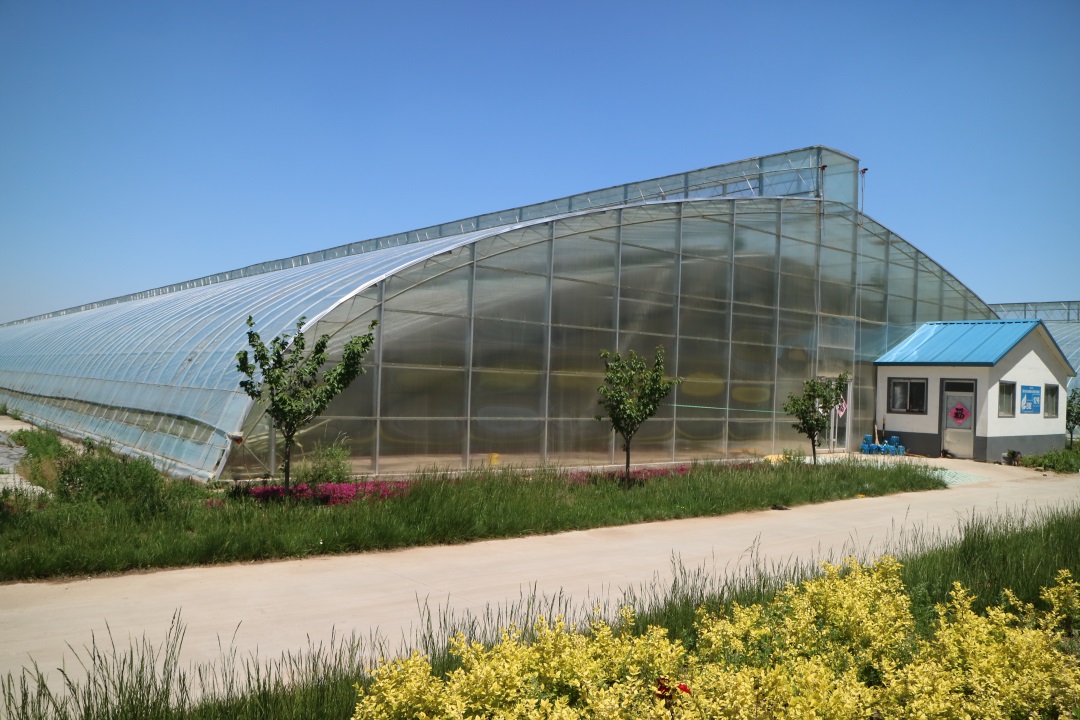 1627814674310771.jpg 1627814674310771.jpg