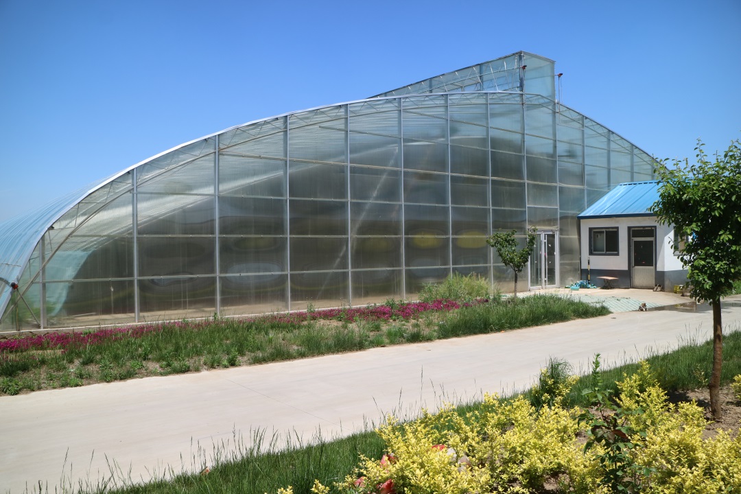 1627814674378141.jpg 1627814674378141.jpg