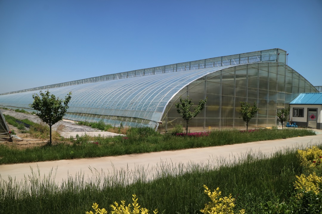 1627814674774650.jpg 1627814674774650.jpg