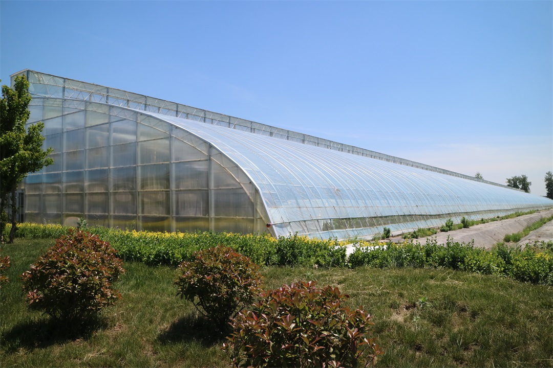 1627814674807518.jpg 1627814674807518.jpg