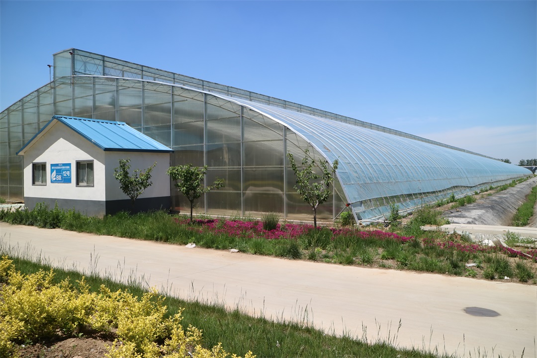 1627814674871020.jpg 1627814674871020.jpg