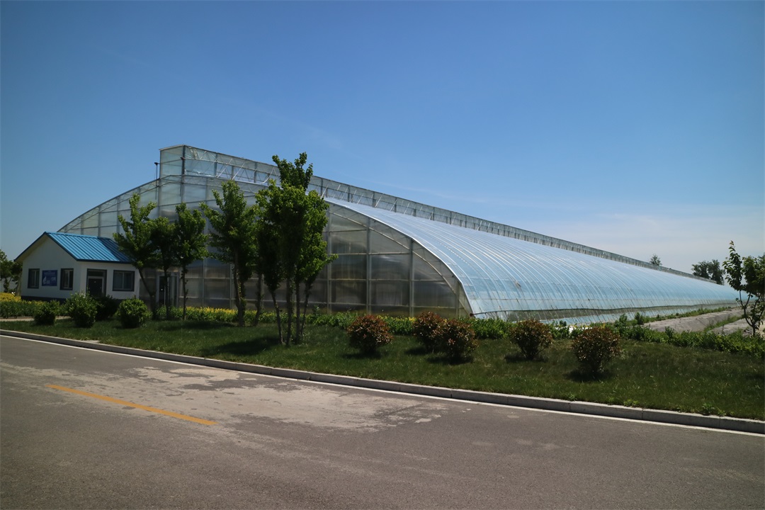 1627814674901806.jpg 1627814674901806.jpg