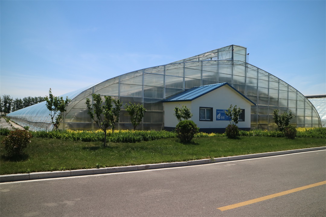 1627814674911161.jpg 1627814674911161.jpg