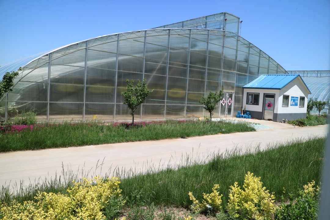 1627814674925152.jpg 1627814674925152.jpg