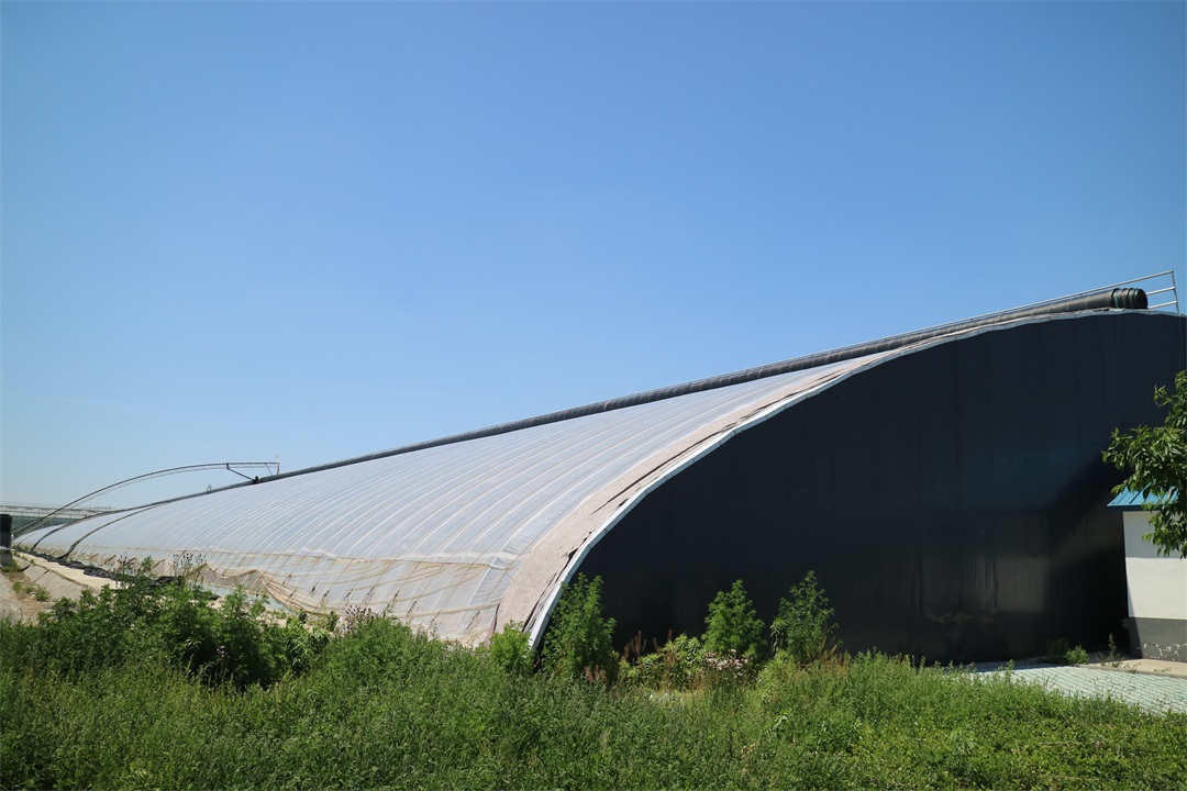 1627870843191060.jpg 1627870843191060.jpg