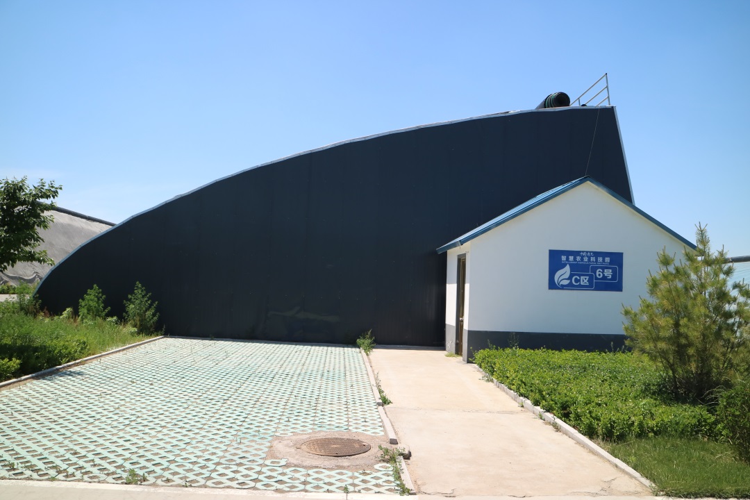 1627870843260183.jpg 1627870843260183.jpg