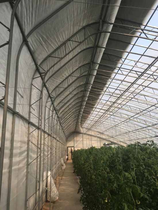 1627870843441498.jpg 1627870843441498.jpg