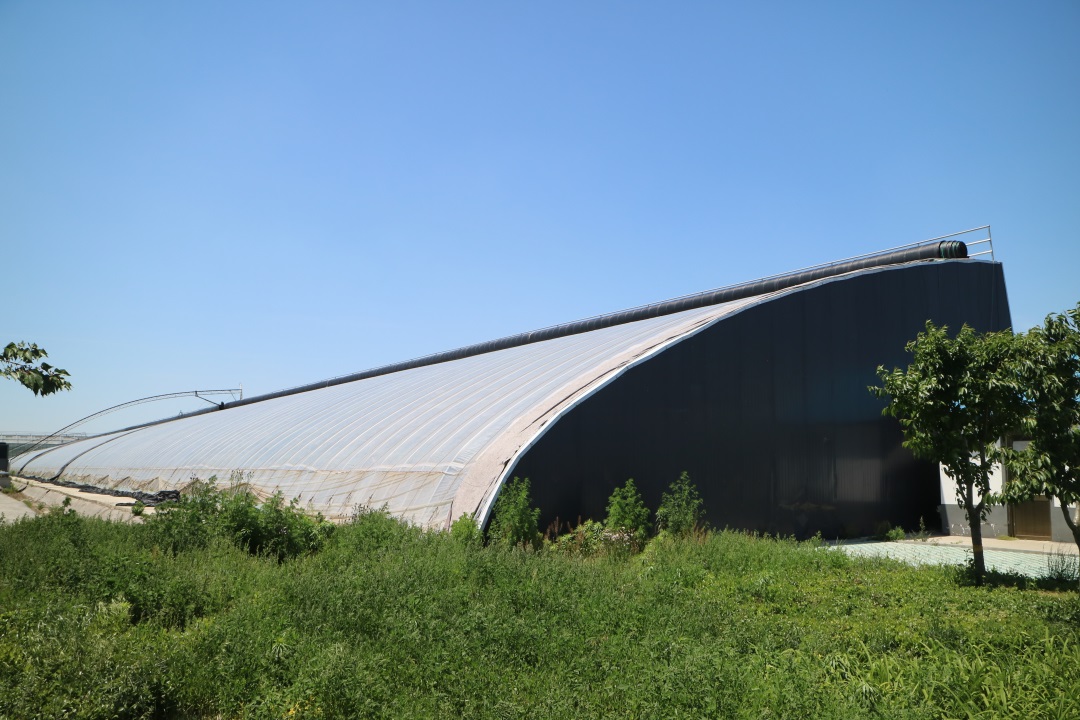 1627870843503483.jpg 1627870843503483.jpg