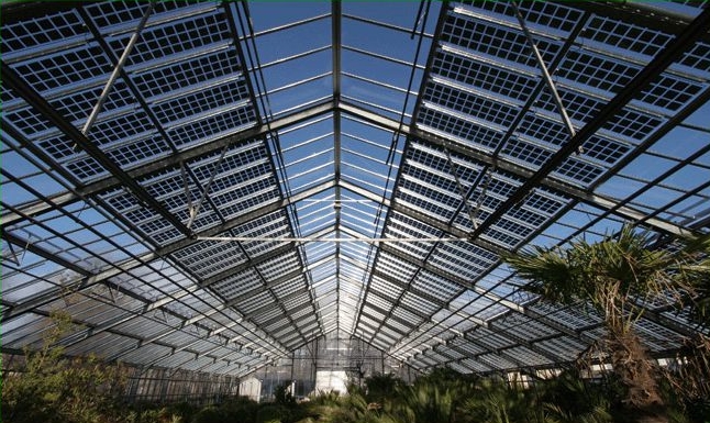 1627872237249486.jpg 1627872237249486.jpg