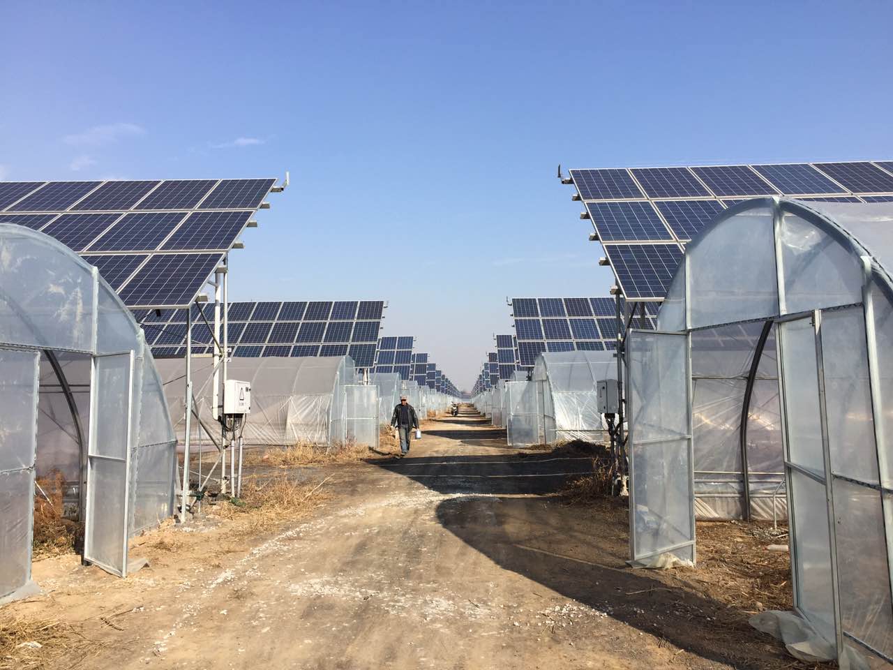 1627872237333390.jpg 1627872237333390.jpg