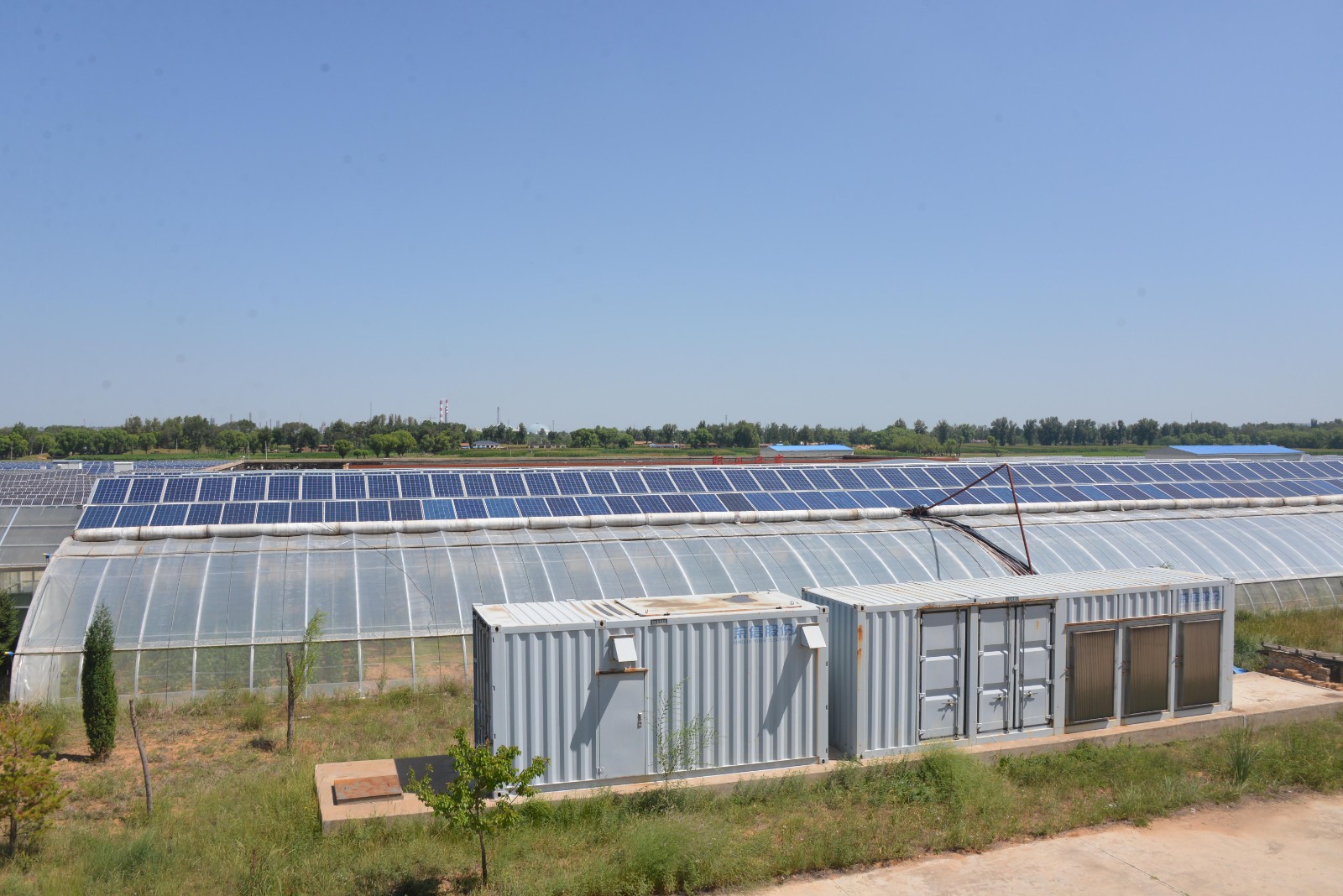 1627872237605552.jpg 1627872237605552.jpg