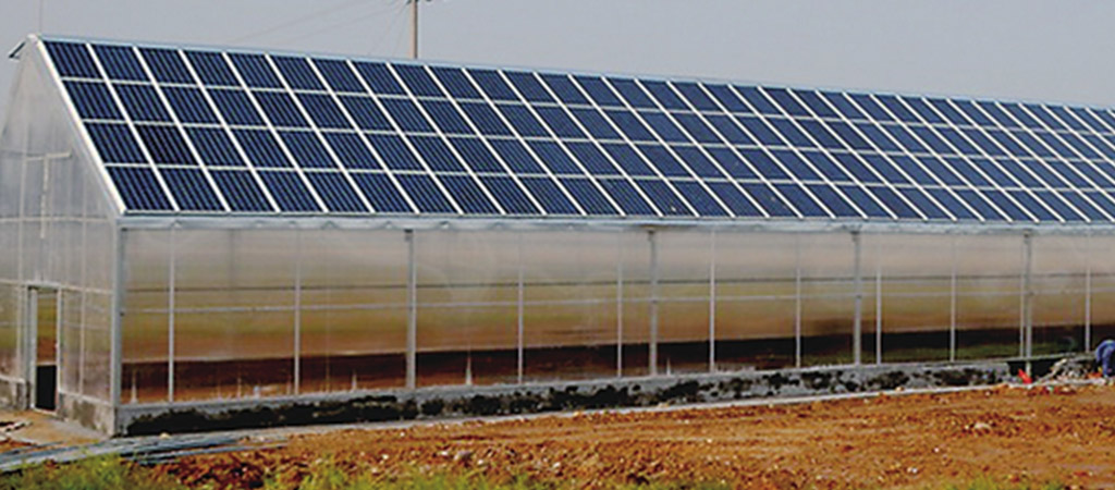 1627872237760009.jpg 1627872237760009.jpg