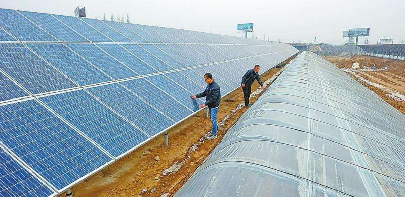 1627872237910979.jpg 1627872237910979.jpg