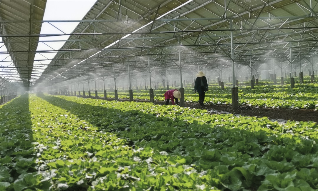 1627872355976207.jpg 1627872355976207.jpg