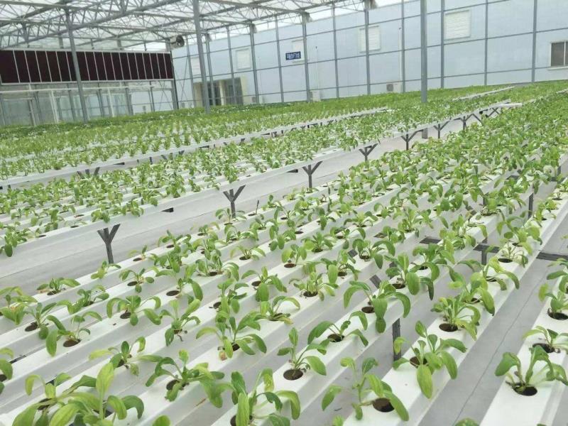 1628558880236284.jpg 1628558880236284.jpg