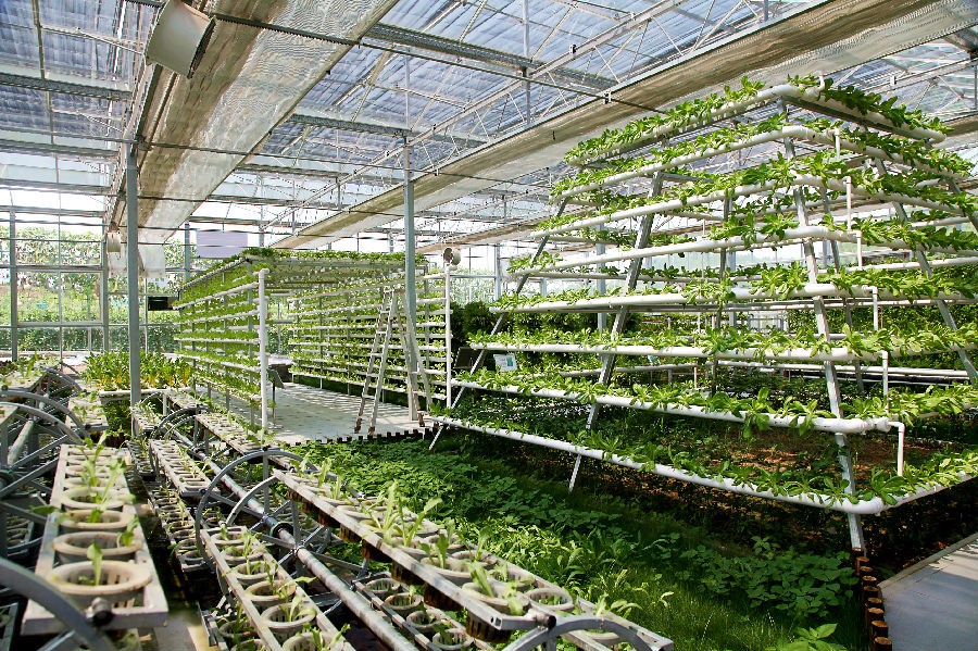 1628558880800534.jpg 1628558880800534.jpg