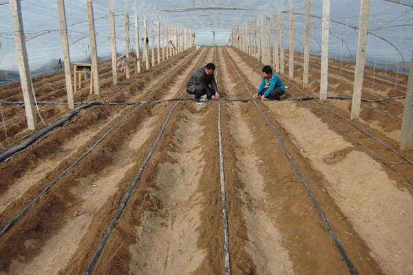 1628678190735346.jpg 1628678190735346.jpg