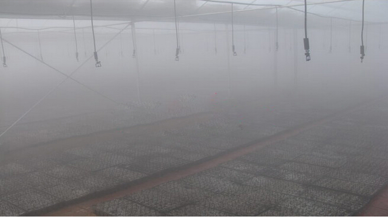 1628815892480265.jpg 1628815892480265.jpg