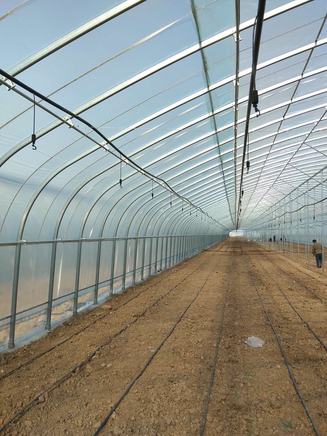 1628815910177379.jpg 1628815910177379.jpg