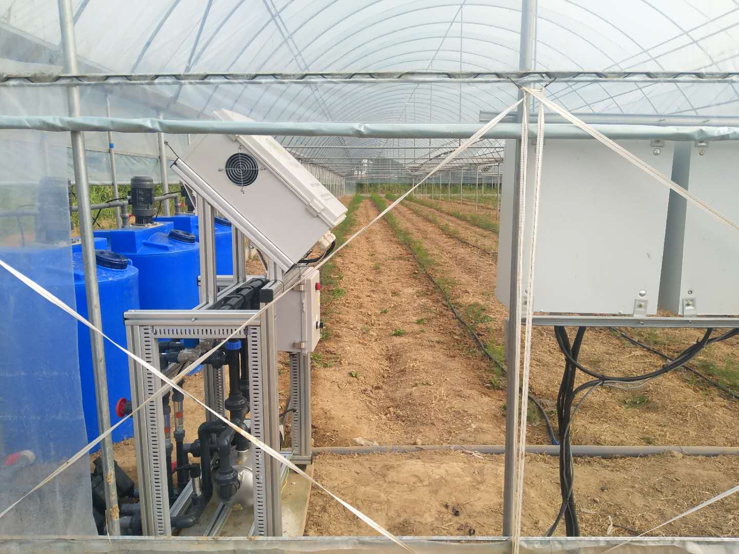 1629097486264486.jpg 1629097486264486.jpg