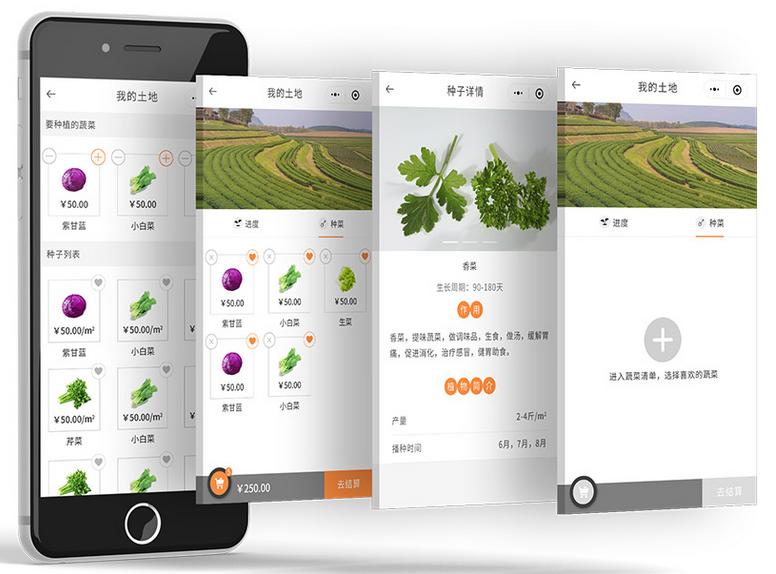 1629106189326768.jpg 1629106189326768.jpg