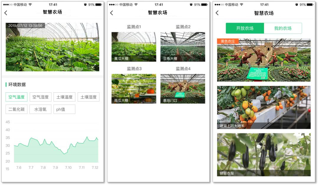 1629106544526100.jpg 1629106544526100.jpg