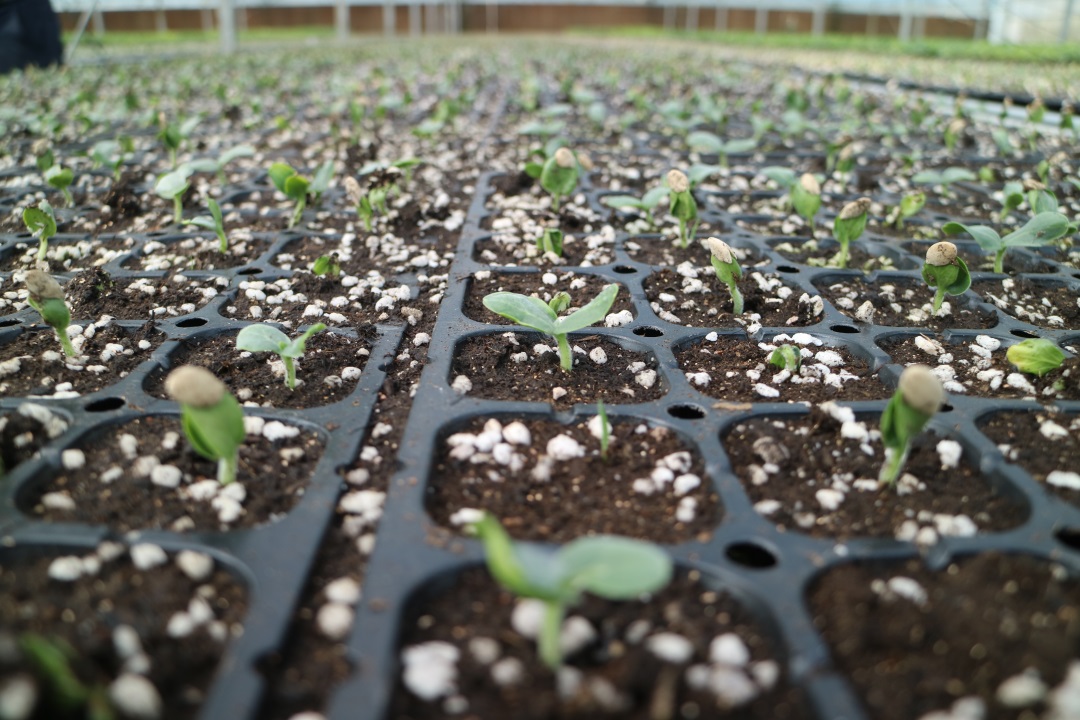 1629601242608109.jpg 1629601242608109.jpg