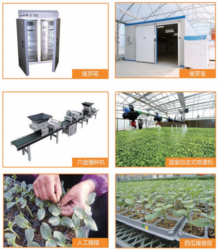 1629602135482298.png 20.png