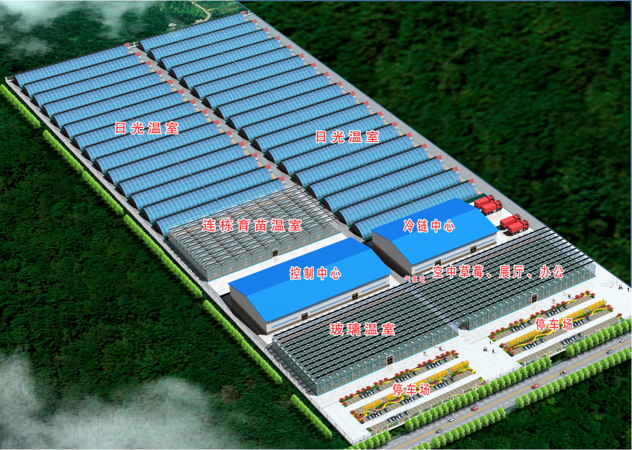 1630397290444917.jpg 1630397290444917.jpg