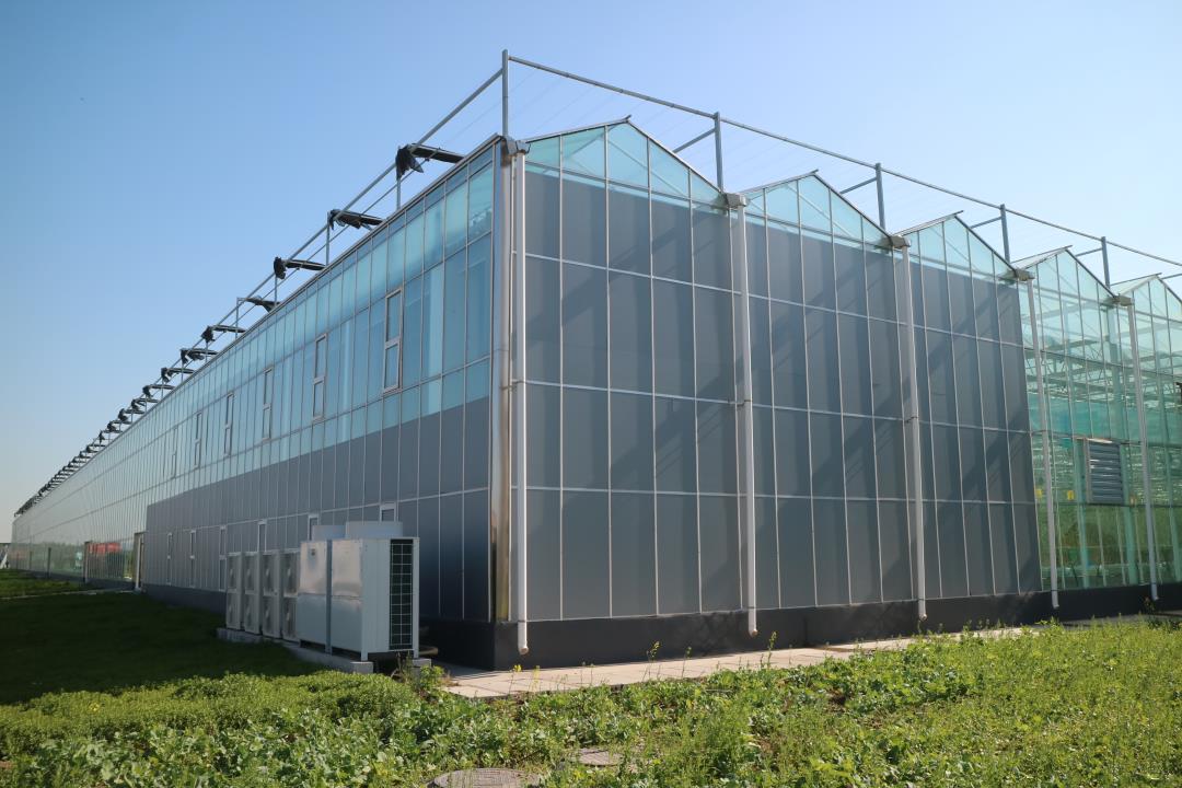 1630465787373131.jpg 1630465787373131.jpg