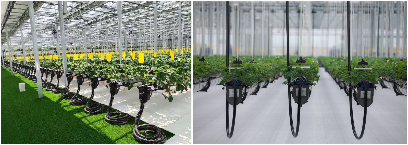 1630465868960650.jpg 1630465868960650.jpg