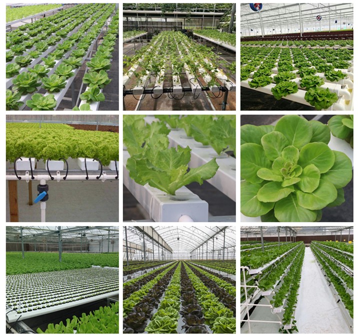 1630482965335145.jpg 1630482965335145.jpg