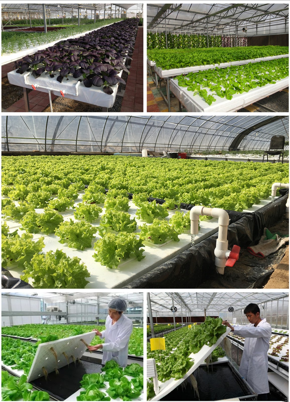 1630483382807040.jpg 1630483382807040.jpg