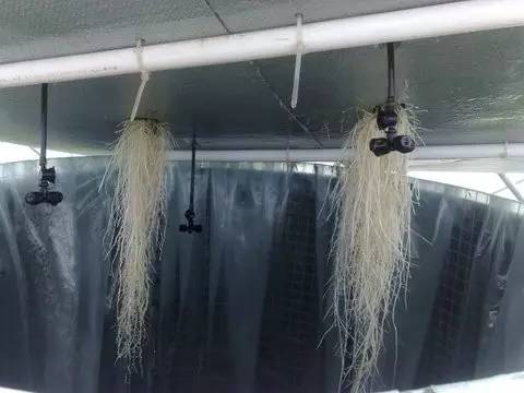 1630483766825191.jpg 1630483766825191.jpg