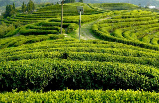 1688714113532987.png 圖片8.png