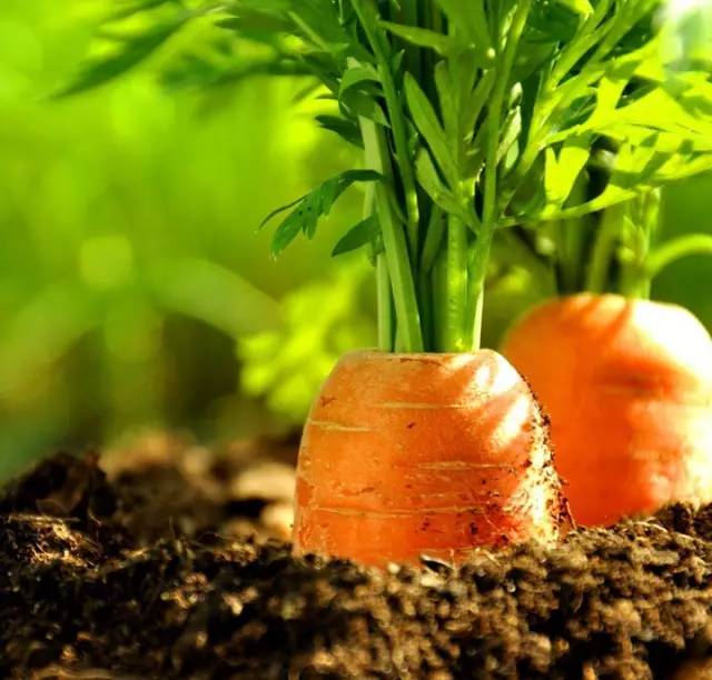 1689062049338027.jpg 9391d9bf5e17ea64ffed73dcd394ab68_146314253_8_20181007073715826.jpg