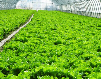 1690241807250720.png 1638955926837799.png